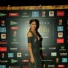 Nargis Fakhri at Star Studded 'IIFA AWARDS 2016'