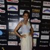 Rakul Preet Singh at SIIMA Awards 2016