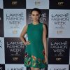 Evelyn Sharma at Auditions of Lakme Fashion weak 2016