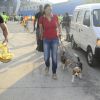 Gul was spotted with her dogs in the city