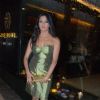 Gayatri Joshi at Jiggs Karla Punjab Grill restaurant launch at Palladium