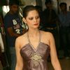 A model at the opening of of Sanjana Jon,s exclusive store in New Delhi on Saturday