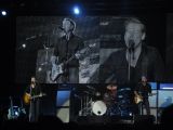 Bryan Adams live concert