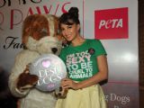 Jacqueline Fernandez unveils new PETA campaign at Lakme Fashion Week Summer 2013