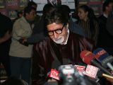 Red carpet premiere of the movie "Rann" , in New Delhi