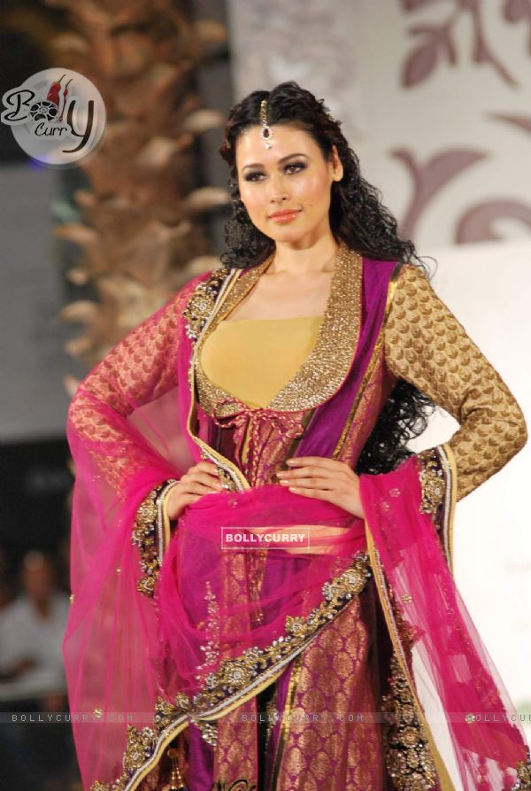 Model Walks for fashion designer Vikram Phadnis at Aamby Valley Indian Bridal Week day 4