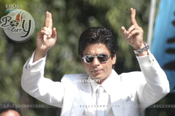 Sexy Shahrukh in white