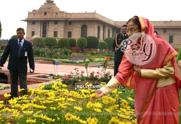 The image “http://img.bollycurry.com/images/600x0/121679-president-pratibha-patil-at-the-mughal-gardens-in-rashtrapati-b.jpg” cannot be displayed, because it contains errors.