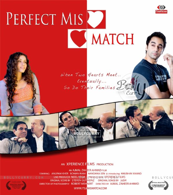 Perfect Mismatch movie poster (15495)
