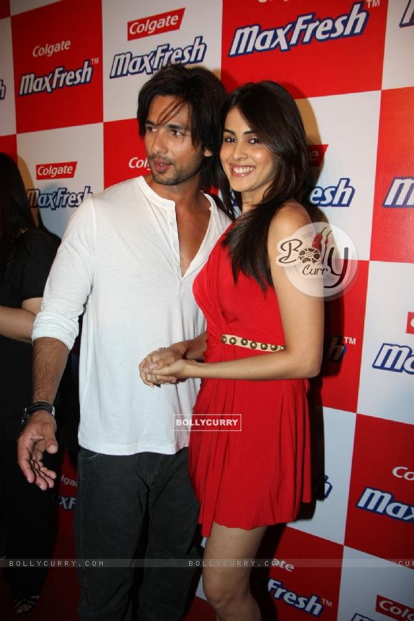 Shahid Kapoor and Genelia Dsouza grace the Colgate MaxFresh party at Bunglow 9