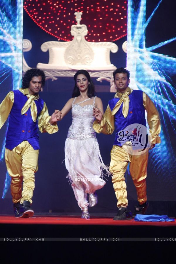 Mallika Sherawat performing at New Year's Eve event at Hotel Tulip Star in Mumbai