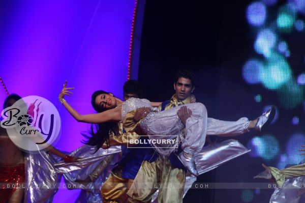 Mallika Sherawat performing at New Year's Eve event at Hotel Tulip Star in Mumbai