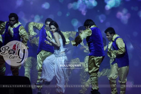 Mallika Sherawat performing at New Year's Eve event at Hotel Tulip Star in Mumbai