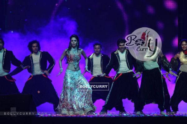 Mallika Sherawat performing at New Year's Eve event at Hotel Tulip Star in Mumbai