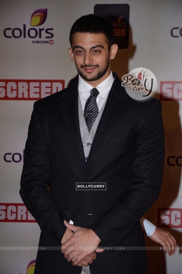Arunoday Singh at the Red Carpet of Colors Screen Awards