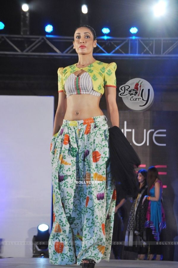 Celebs the Couture for Cause Fashion Show in ITC Maratha on 13th March 2012