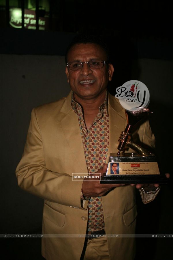 c at Dadasaheb Ambedkar Awards