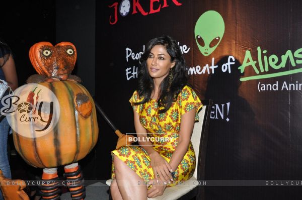 Chitrangda Singh Stars in Peta And Joker AD Against Testing Cosmetics on Animals (223007)