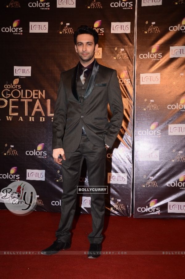 Nandish Sandhu at Colors Golden Petal Awards Red Carpet Moments