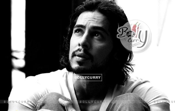 Dino Morea