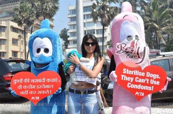 Sherlyn Chopra along with PETA's Giant Condoms