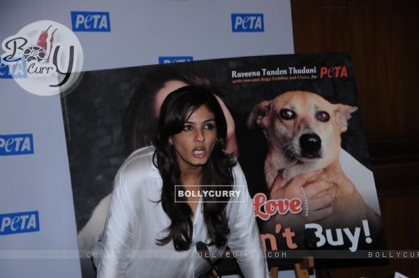 Raveena Tandon at Peta's Press Conference