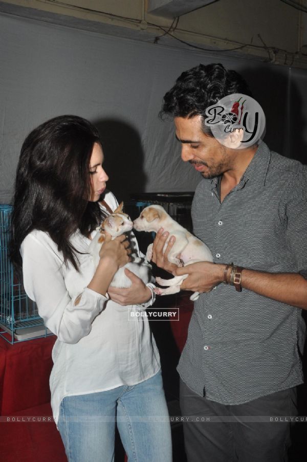 Celebrities attend Pet Adoption 2013