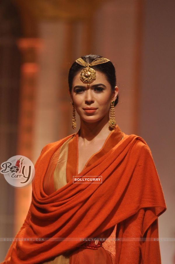 Aamby Valley India Bridal Fashion Week 2013 - Day 3