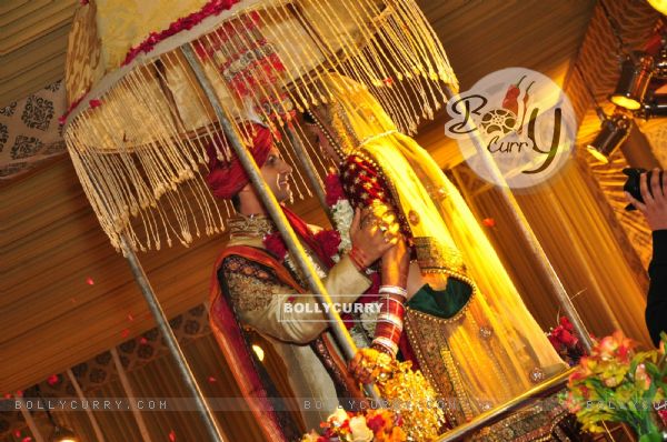 Ravi Dubey and Sargun Mehta's Wedding Ceremony