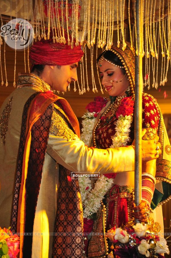 Ravi Dubey and Sargun Mehta's Wedding Ceremony