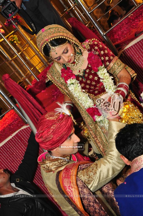 Ravi Dubey and Sargun Mehta's Wedding Ceremony