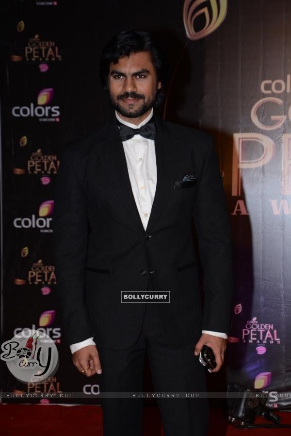 Gaurav Chopra at the COLORS Golden Petal Awards 2013
