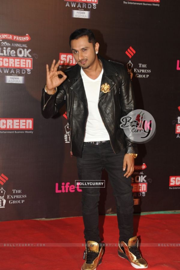 Honey Singh was seen at the 20th Annual Life OK Screen Awards