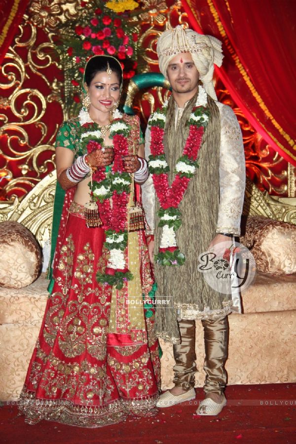 Raghav Sachar & Amita Pathak's Wedding