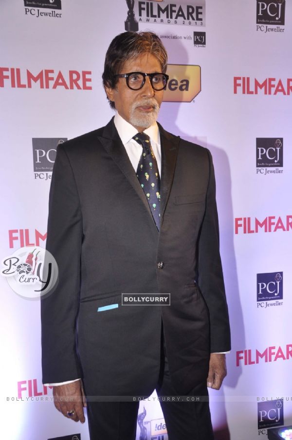 Amitabh Bachchan was seen at the 59th Idea Filmfare Awards 2013