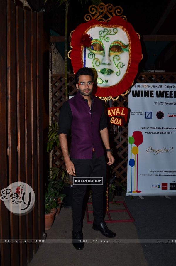 Promotions of 'Youngistan' at Viva Carnaval Goa (312441)