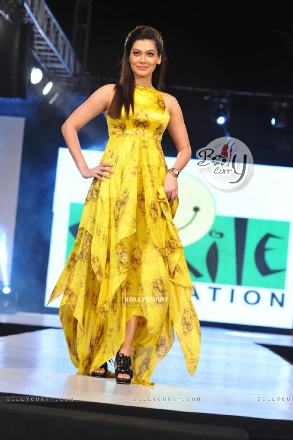 Payal Rohatgi was at the charity fashion show 'Ramp for Champs'
