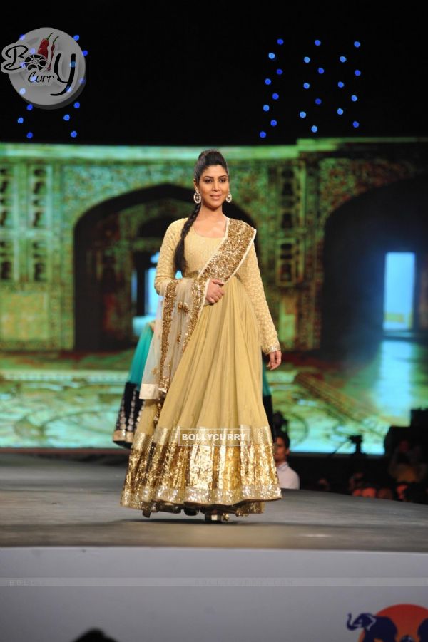 Saakshi Tanwar walked the ramp at the 'Caring with Style' fashion show at NSCI