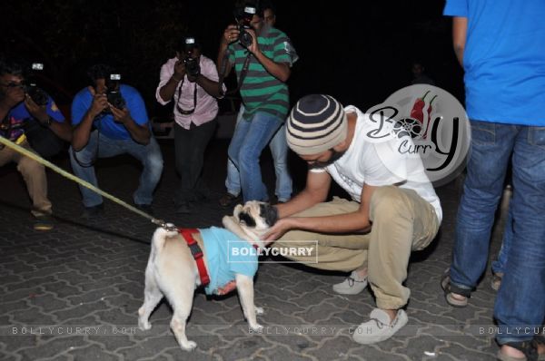 Riteish Deshmukh pets a pug at the success party of ek villain (323844)