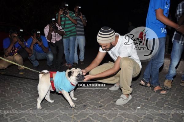 Riteish Deshmukh pets a pug at the success party of ek villain (323845)