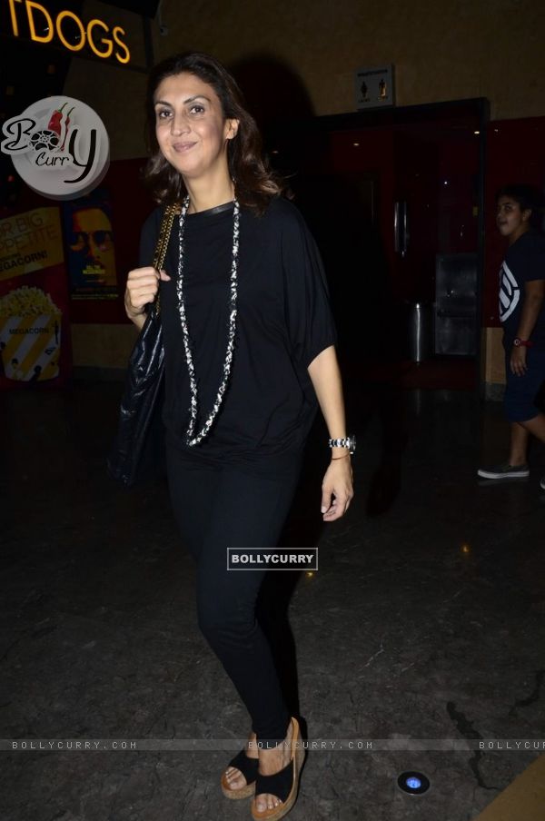 Special Screening of Lekar De Hum Deewana Dil