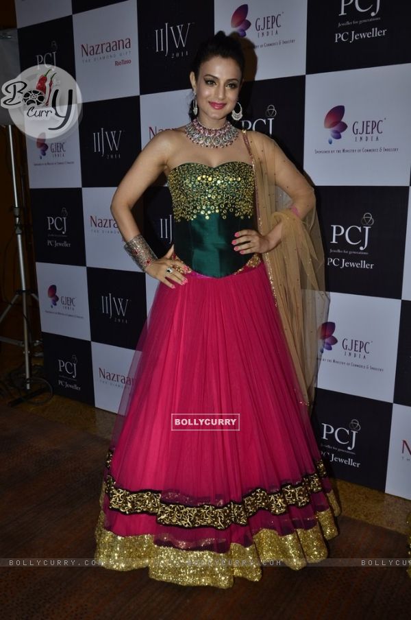 Ameesha Patel poses for the camera at the India International Jewellery Week (IIJW) 2014 - Day 1