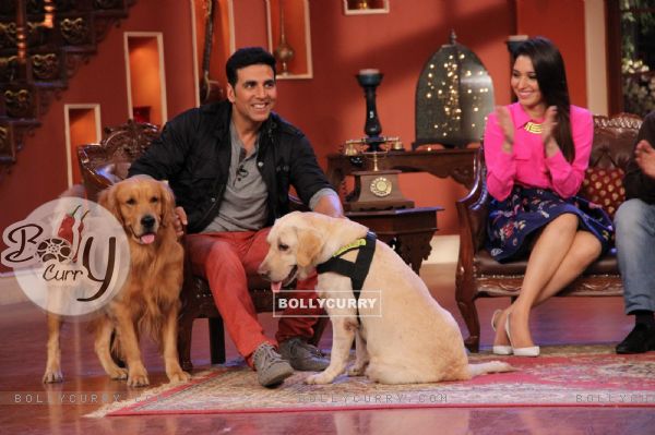 Akshay Kumar poses with two dogs at the Promotion of Entertainment on Comedy Nights with Kapil