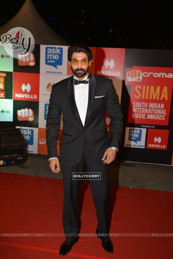 Rana Daggubati poses for the media at Mircromax SIIMA Awards Day 2