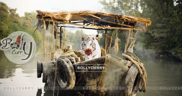Roar: Tigers of the Sundarbans (340104)