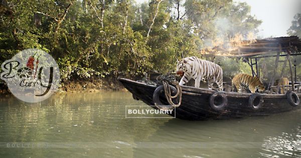 Roar: Tigers of the Sundarbans (340105)