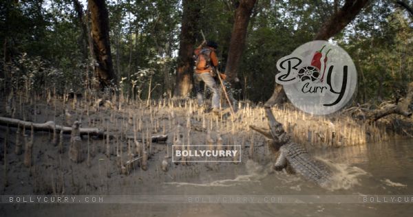 Roar: Tigers of the Sundarbans (340109)