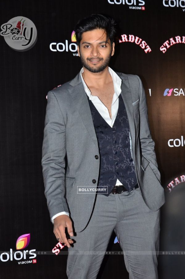 Ali Fazal poses for the media at Sansui Stardust Awards Red Carpet