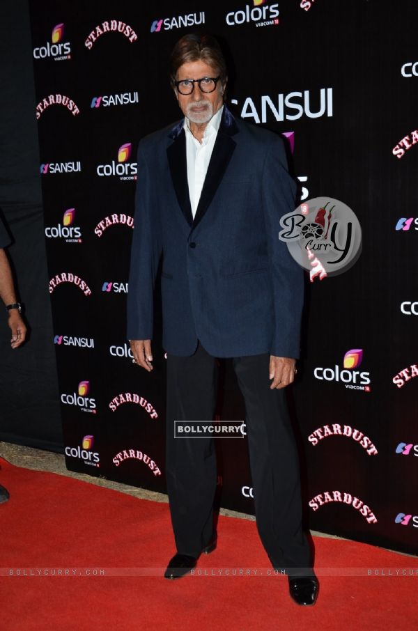 Amitabh Bachchan poses for the media at Sansui Stardust Awards Red Carpet