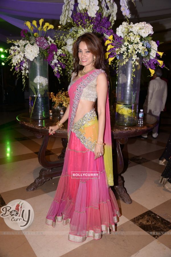 Vidya Malvade poses for the media at Uday and Shirin's Sangeet Ceremony
